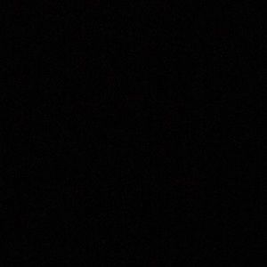 Meet your Posher, Darrell